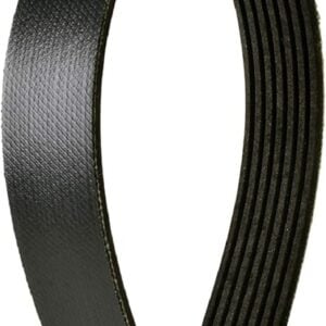 Serpentine Belt